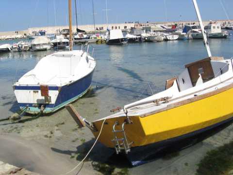 Torre a Mare, la sabbia ha invaso il porto: inquinamento e danni